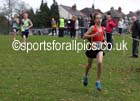 Under-15 boys Northern Cross Country Relays. Photo: David T. Hewitson/Sports for All Pics